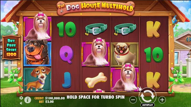 Rumah Anjing Ceria dengan Kejutan Seru Bikin Betah Main